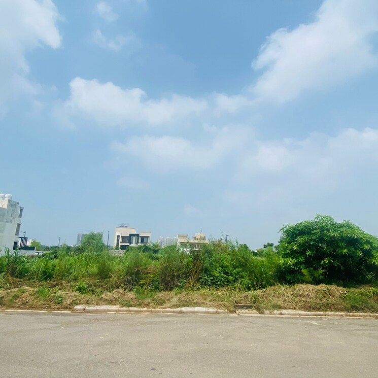Other, gmada-eco-city  500 Sq.Yd. Plot In Mullanpur Chandigarh 8415111