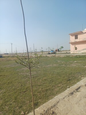  Plot – Exterior View View at Jewar - for Sale