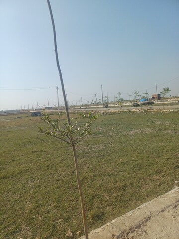  Plot For Sale in Jewar