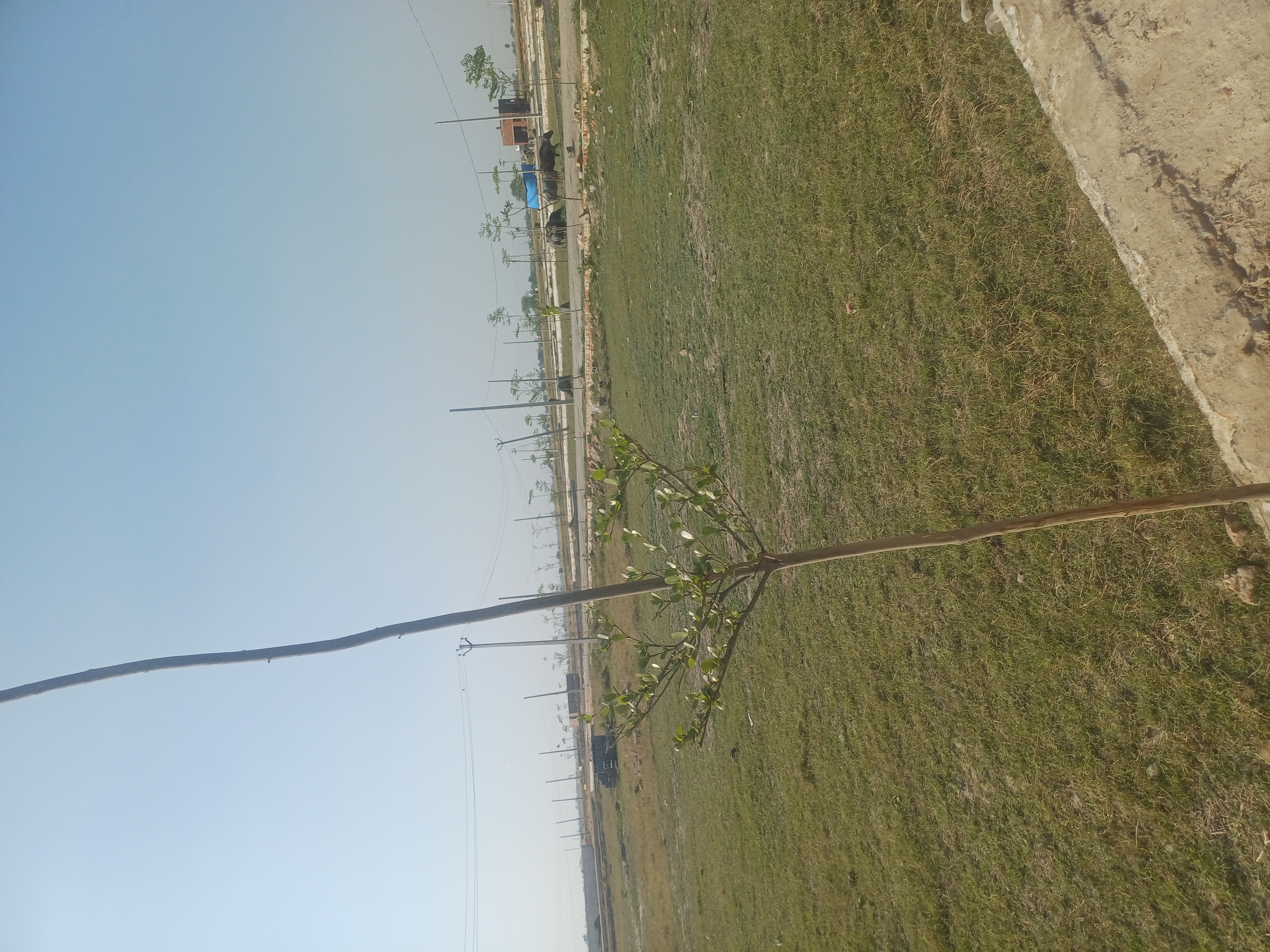 Plot For Sale in The Grand City 