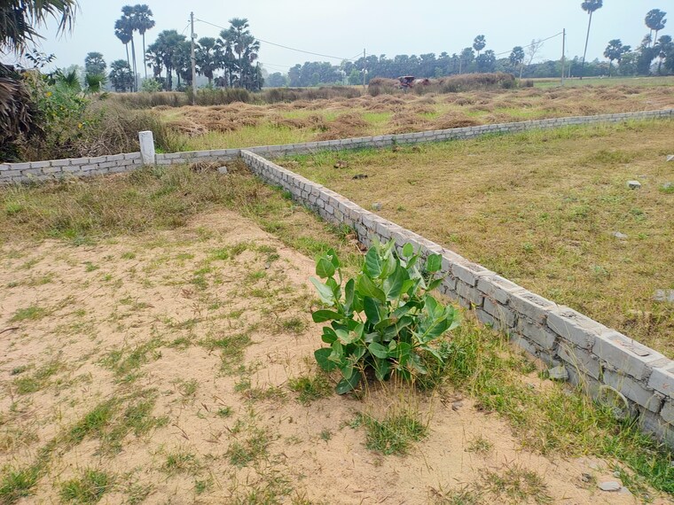 Exterior View, kankarbagh  1200 Sq.Ft. Plot In Kankarbagh Patna 8415376