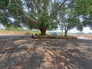  Plot – Exterior View View at Salarpuria Sattva Pipal Tree, Magadi Road - for Sale