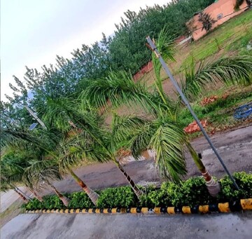  Plot – Exterior View View at Patanjali Phase 1 - for Sale