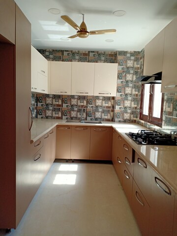 3 BHK Apartment For Rent in Saket