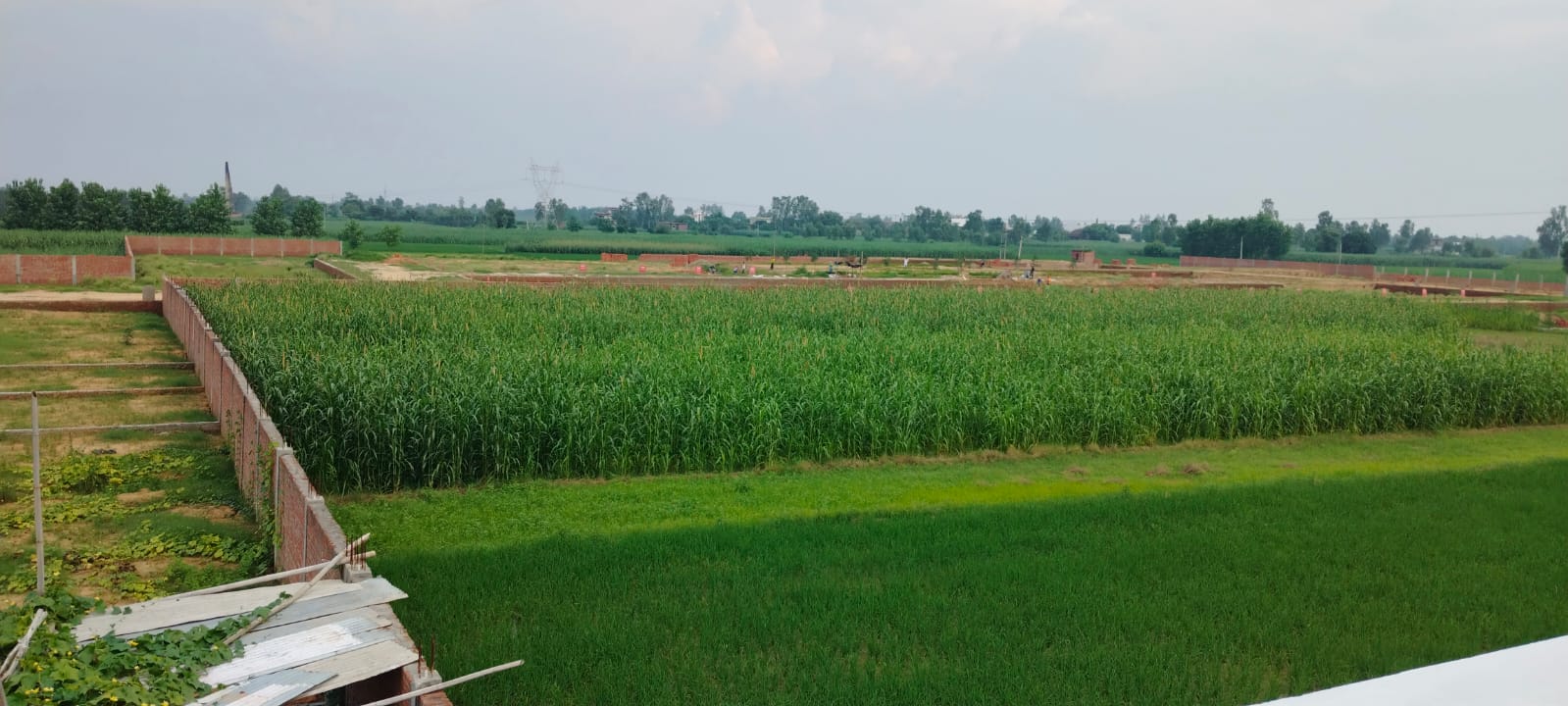 Plot For Sale in Rustompur Sector 8 Jevar 