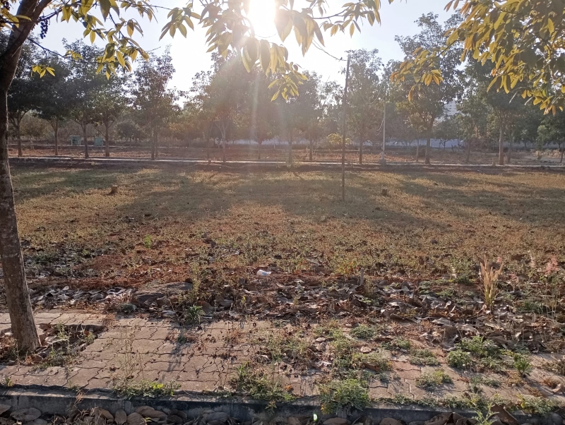 Plot For Sale in Subham 