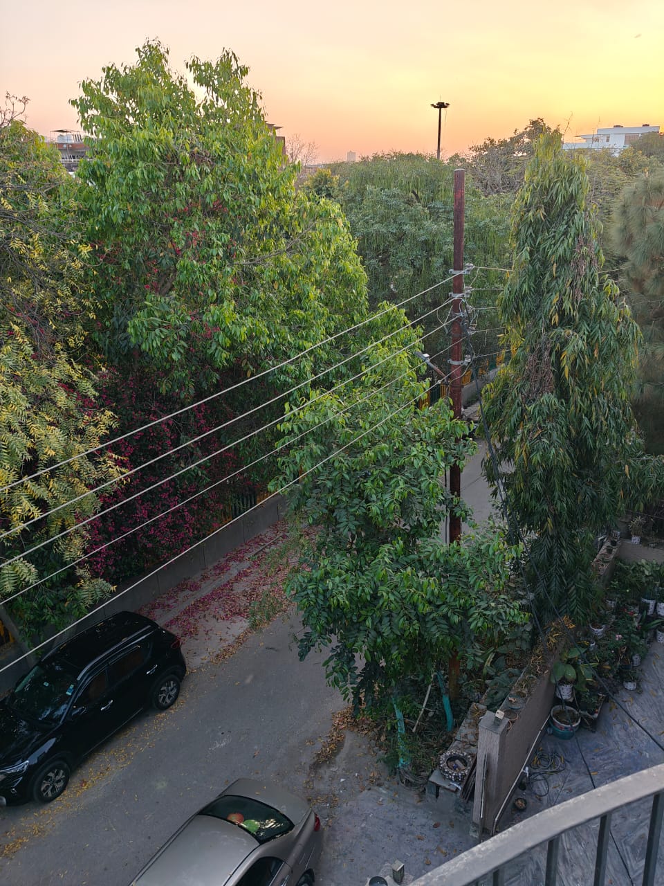 Plot For Sale in Sector 69 A