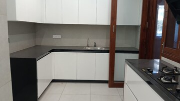 Kitchen in 4 BHK Builder Floor at Sector 6 – for Rent