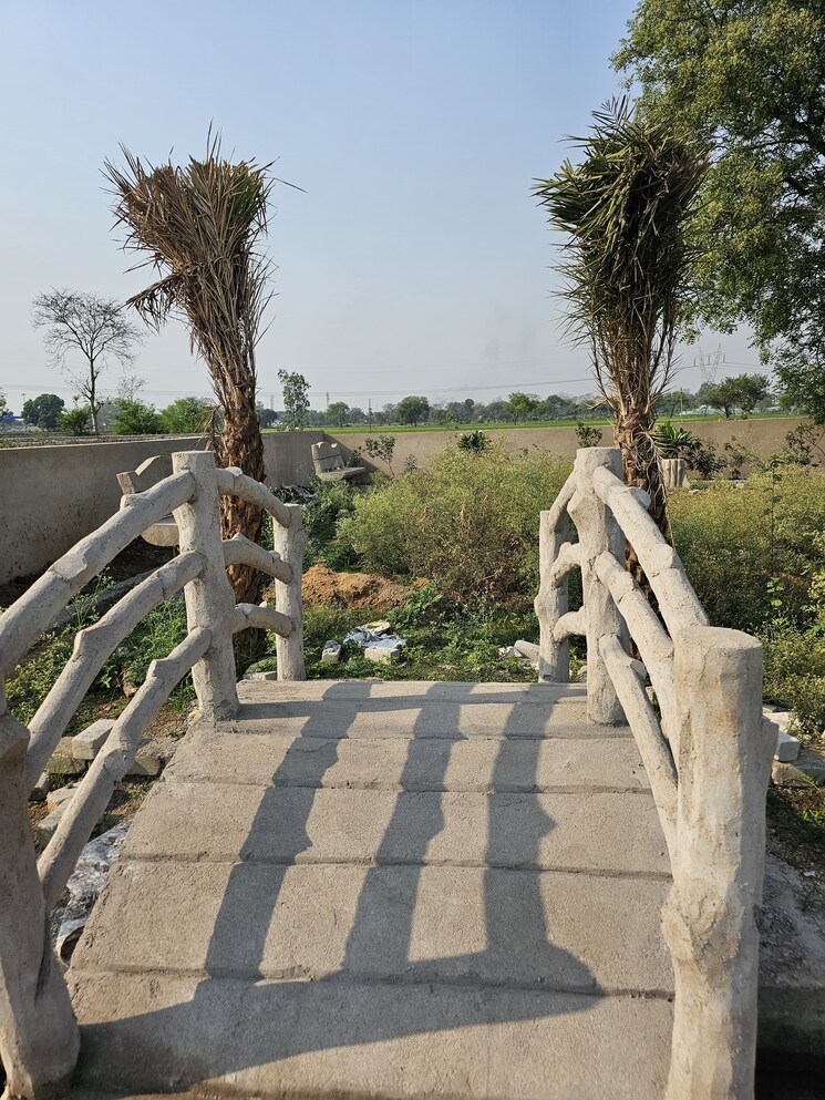 Exterior View, koni  900 Sq.Ft. Plot In Koni Bilaspur 8416663