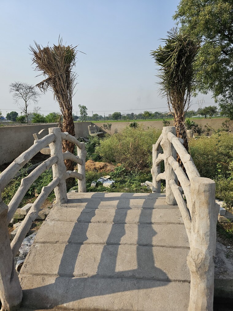 Exterior View, koni  900 Sq.Ft. Plot In Koni Bilaspur 8416663