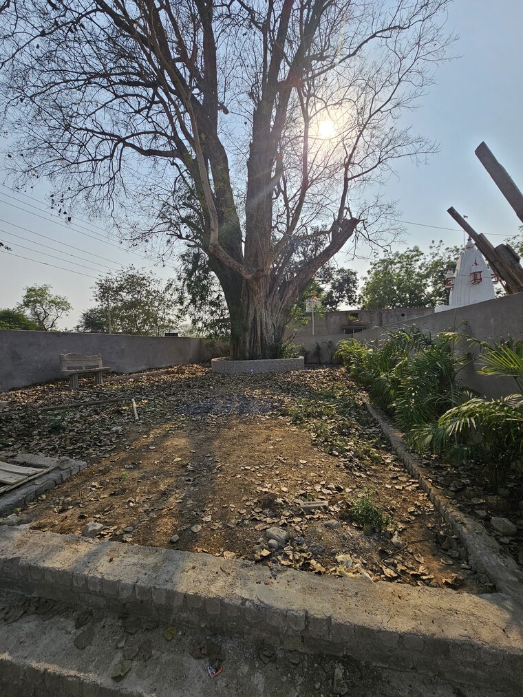 Exterior View, koni  900 Sq.Ft. Plot In Koni Bilaspur 8416663