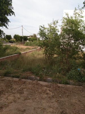  Plot For Sale in Meerut Cantt