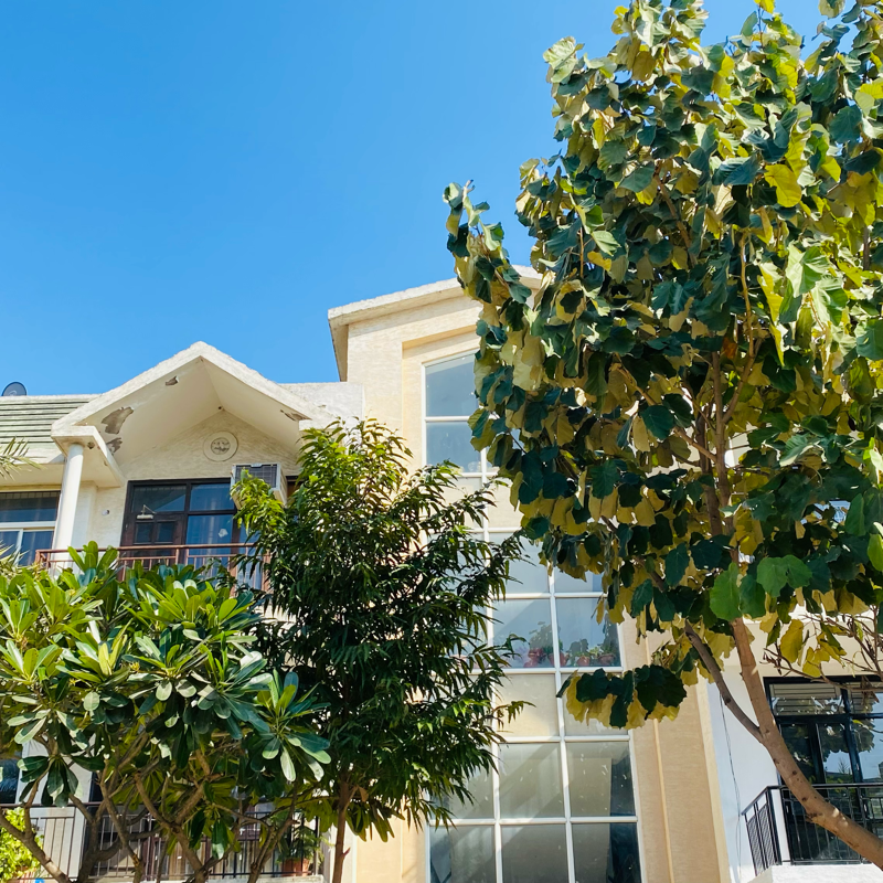 3 BHK + Pooja Room Builder Floor For Sale in Omaxe Silver Birch