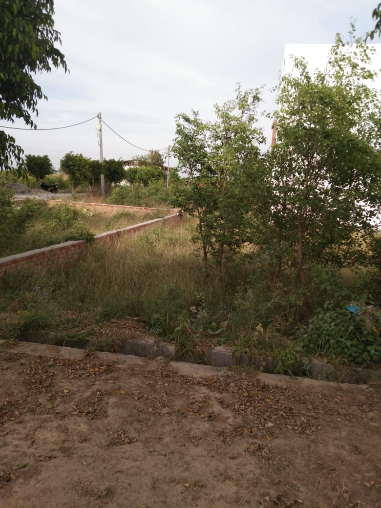 Plot For Sale in Krishna Enclave Mawana ro