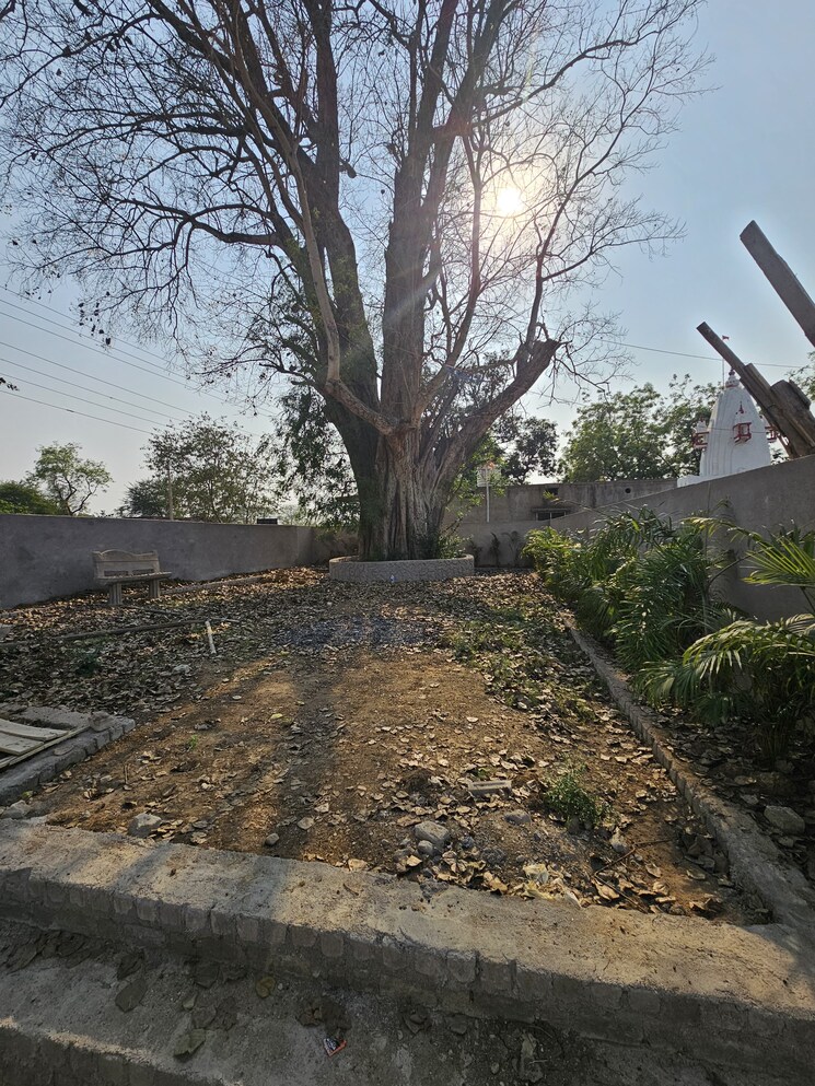 Exterior View, koni  930 Sq.Ft. Plot In Koni Bilaspur 8417538
