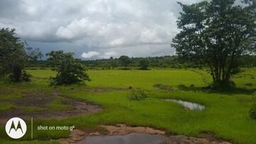  Plot – Exterior View View at Chiplun - for Sale