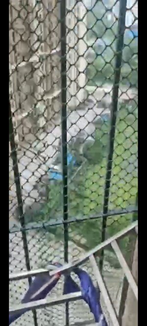 2 BHK Apartment – Exterior View View at Dosti West County, Balkum Pada - for Sale