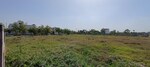 250 Sq.Yd. Plot in Dream City Nxt 