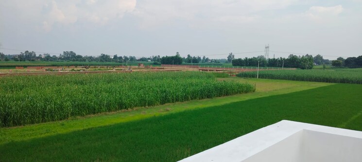 Exterior View, upsidc site b  600 Sq.Yd. Plot In Upsidc Site B Greater Noida 8418565