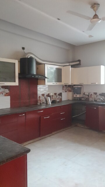 Kitchen in 3 BHK Builder Floor at Uppal Southend, Sector 49 – for Rent