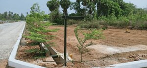  Land – Exterior View View at Bhogapuram - for Sale