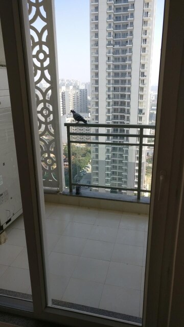 Balcony in 3.5 BHK Apartment at DLF The Ultima, Sector 81 – for Rent