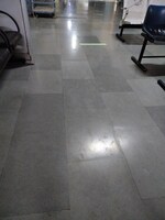 1250 Sq.Ft. Plot in Premium Paradise