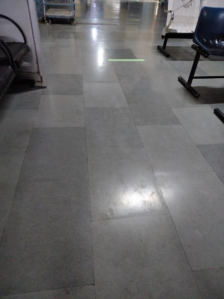 Plot For Sale in Premium Paradise