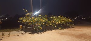  Plot – Exterior View View at Trichy Madurai Road - for Sale