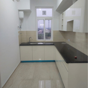 Kitchen in 3 BHK Apartment at Omaxe Lake, Mullanpur – for Sale