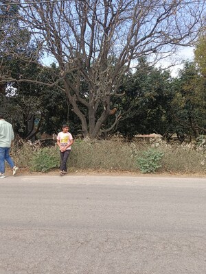  Land – Garden View at Anam Homes, Juggaur - for Sale