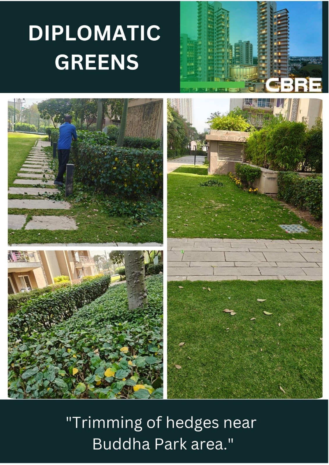 2 BHK Apartment For Sale in Zara Rossa