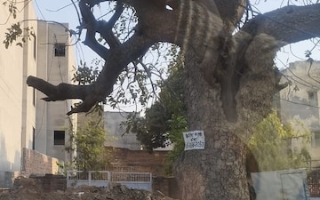 Plot For Sale in Faridabad North