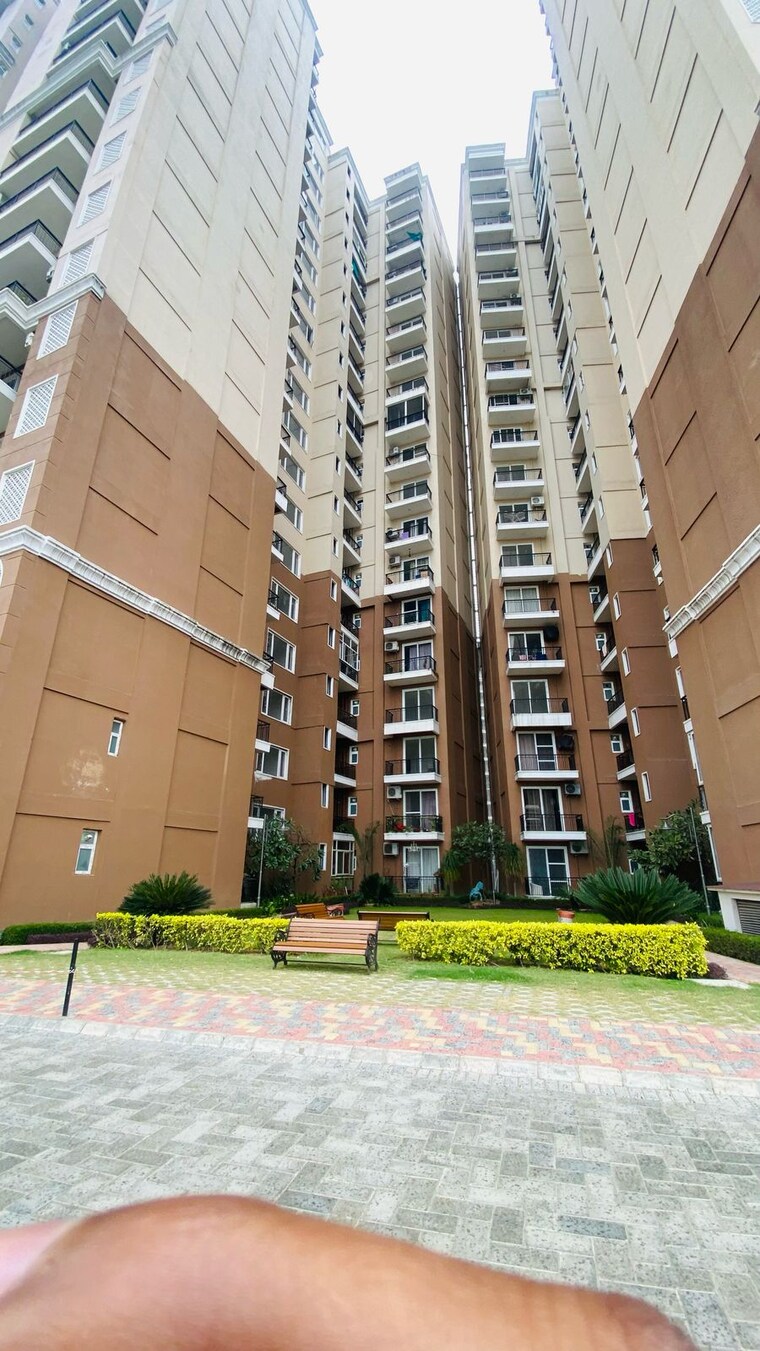 Exterior View, ambika-florence-park 4 Bedroom 3550 Sq.Ft. Apartment In North Mullanpur Chandigarh 8420866