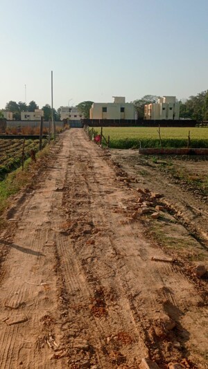  Land For Sale in Anam Homes, Juggaur