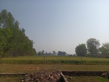   Plot at King City, Raebareli Road – for Sale