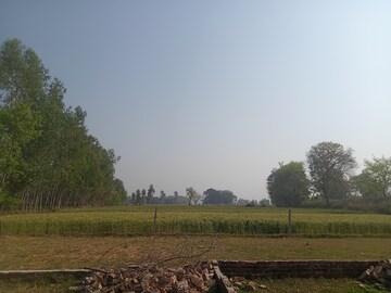 Plot Area in  Plot at King City, Raebareli Road – for Sale