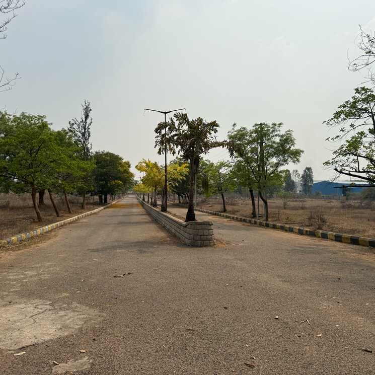 Exterior View, shamirpet  500 Sq.Yd. Plot In Shamirpet Hyderabad 8421748