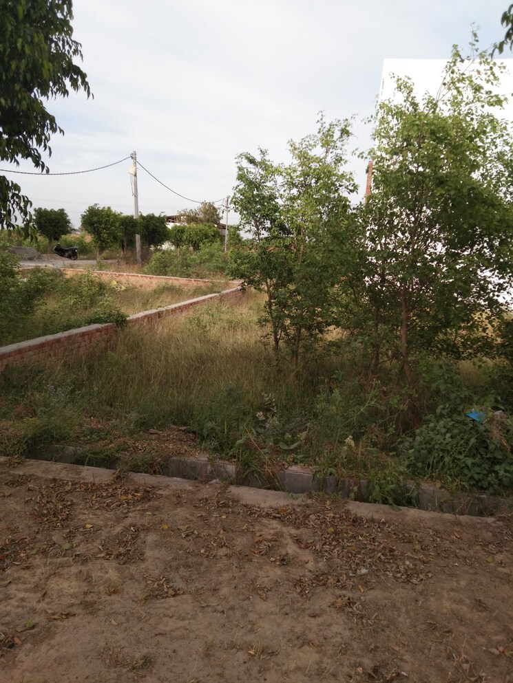 Exterior View, meerut cantt  200 Sq.Yd. Plot In Meerut Cantt Meerut 8421313