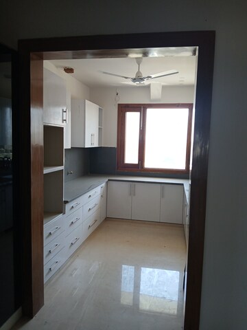Kitchen in 3 BHK Builder Floor at Sector 14 – for Rent