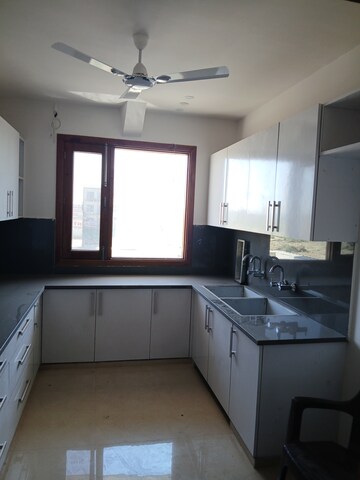 Kitchen in 3 BHK Builder Floor at Sector 14 – for Rent