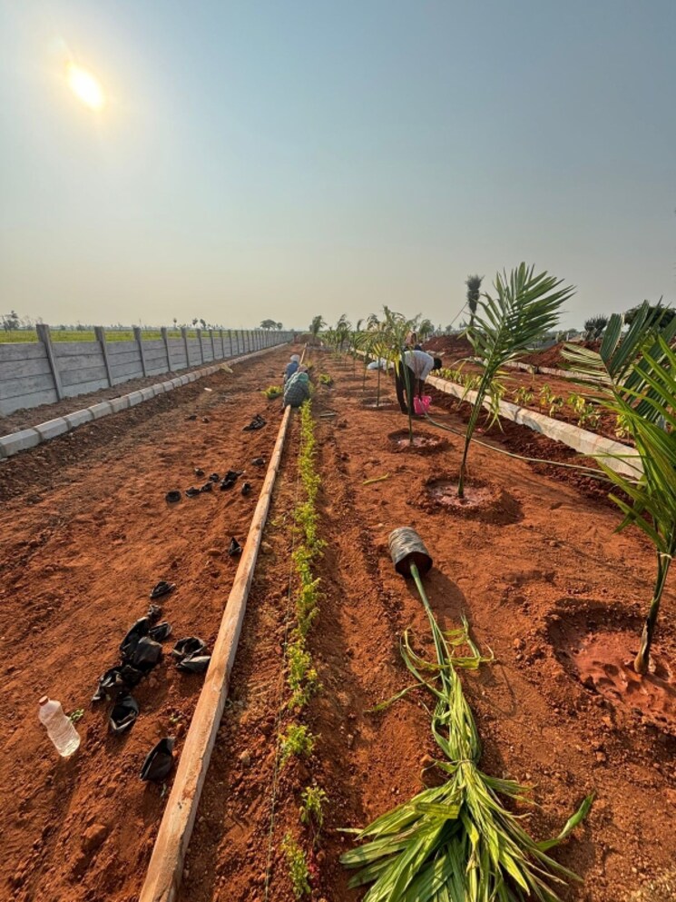 Exterior View, sri-bhumi-eeshaanya  250 Sq.Yd. Plot In Kankipadu Vijayawada 8422614