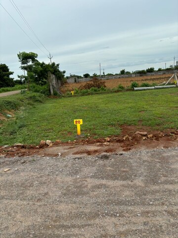  Plot For Sale in Kunchanapalli
