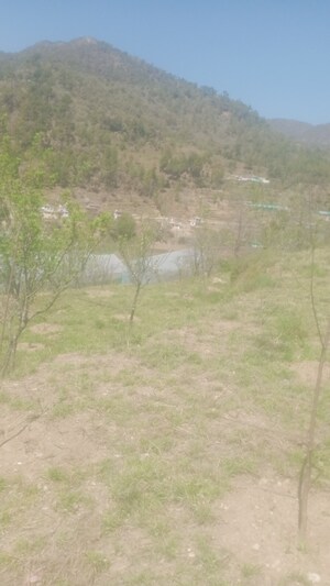  Land For Sale in Mukteshwar