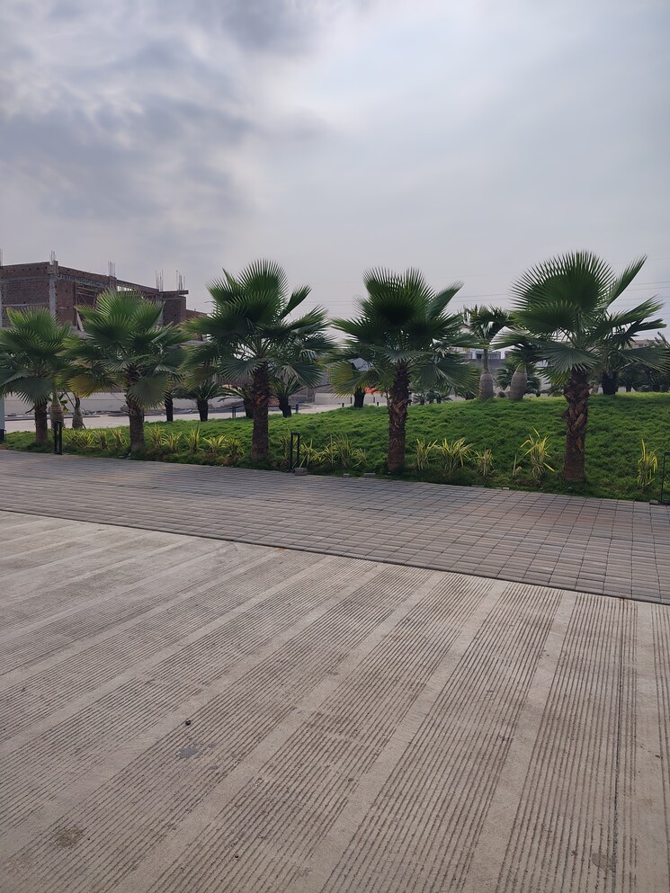 Exterior View, jakhya  1000 Sq.Ft. Plot In Jakhya Indore 8423305