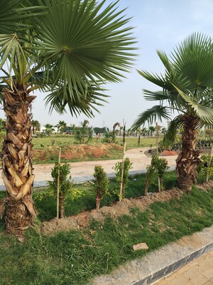  Plot – Exterior View View at Jakhya - for Sale