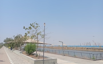 Plot For Sale in Shyam Dholera Global City, Dholera