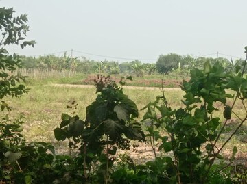 Plot Area in  Plot at Sonarpur – for Sale