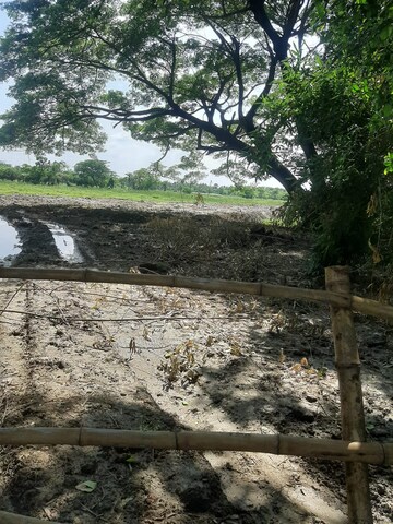 Plot Area in  Land at Rathtala – for Sale