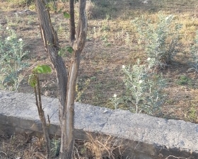 Plot For Sale in Jagatpura